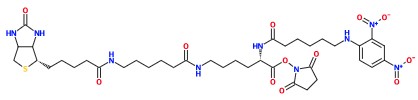 (image for) MC085444 DNP-X-Biocytin-X, SE